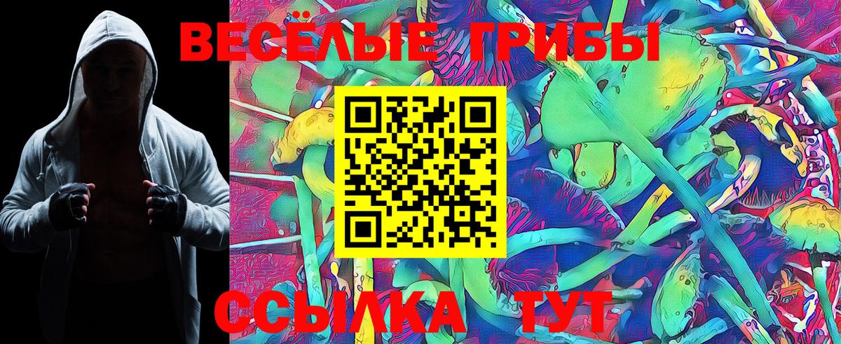 Ленинск-Кузнецкий  Псилоцибиновые грибы ЛСД  Галлюциногенные грибы Cubensis  закладки  Вход с VPN 